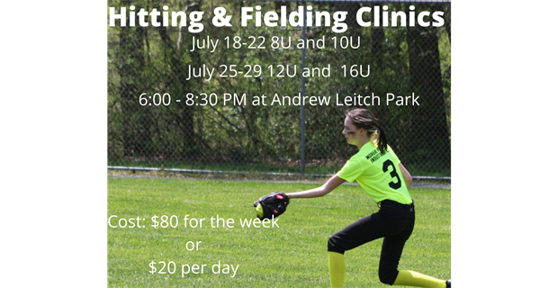 Hitting/Fielding Clinics